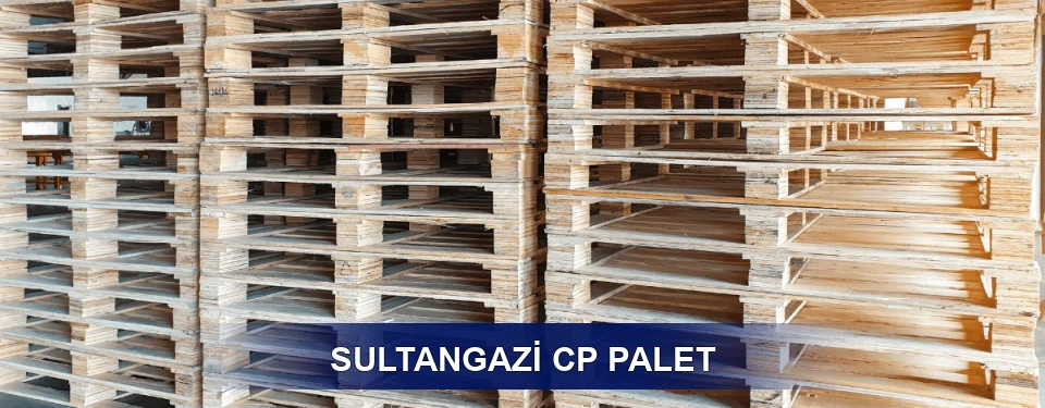 Sultangazi Standart Tipler